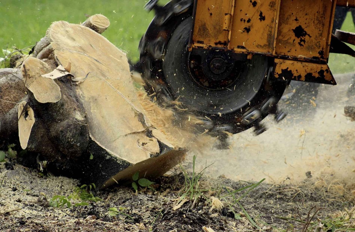 Close-up of professional stump grinding equipment removing tree stump in Hobbs, NM