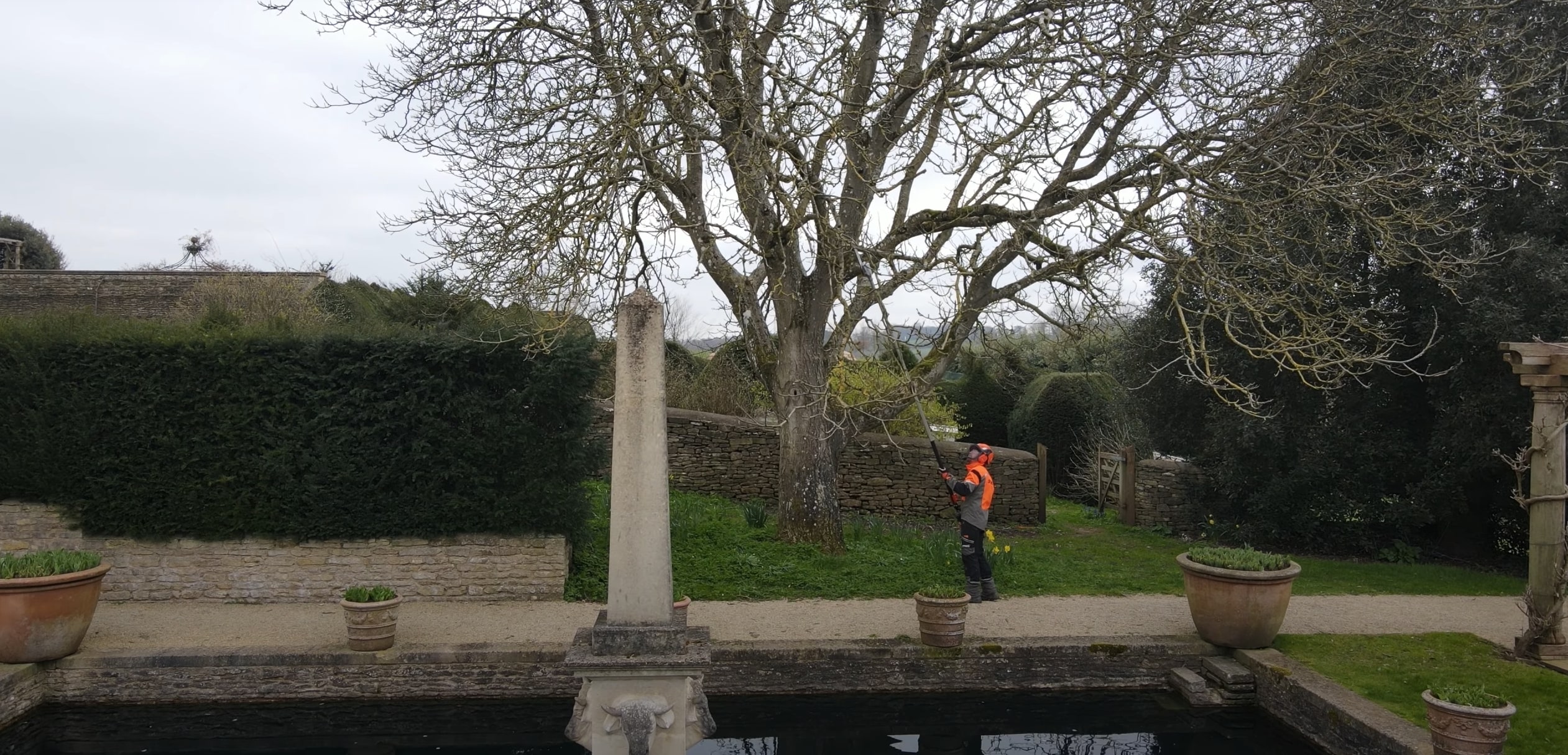 Tree cabling, bracing and structural support in Hobbs, NM